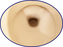 liquid plumber toilet clog