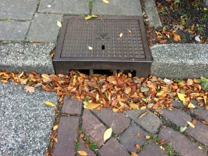 leaves in a drain in Amsterdam causing clogging problems