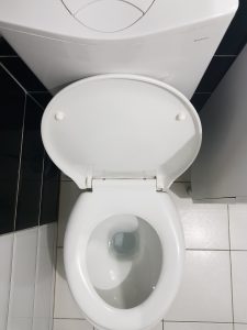 fix toilet problems