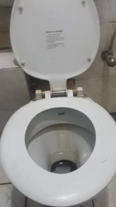 unclogging a clogged toilet