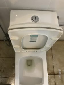 a blocked toilet drain in weesp