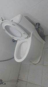 a clogged toilet in dordrecht