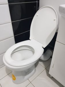a clogged toilet in holland