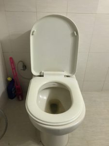 a clogged toilet in pijnacker