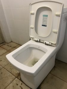 a clogged toilet in rijswijk