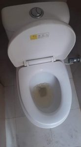 a clogged toilet in roermond