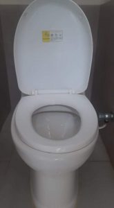 a clogged toilet in roosendaal