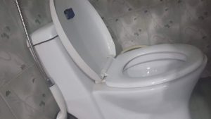 a clogged toilet in terneuzen