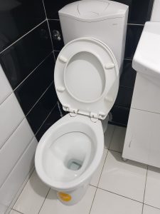 a clogged toilet in the hague
