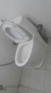 replace your toilet with a new one
