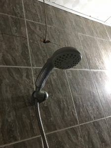 sometimes it is better to replace a shower with a new one