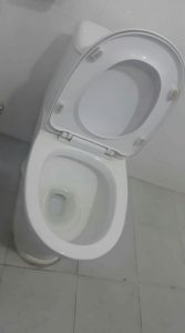 toilet installation in hengelo