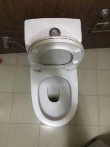 unclogging a toilet