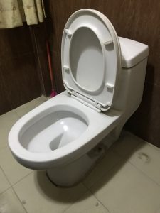 unclogging a toilet in middelburg