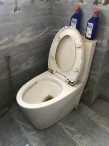 unclogging a toilet in middelharnis