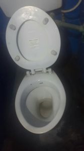 unclogging an toilet in drachten