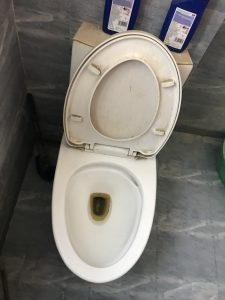 we provide services to unclog a toilet