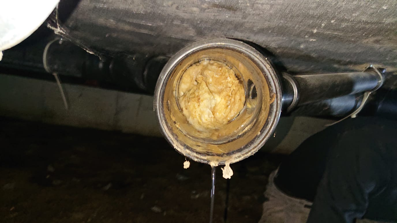 Sewer clogged the cause and the solution! (tip) from €87,75 (incl